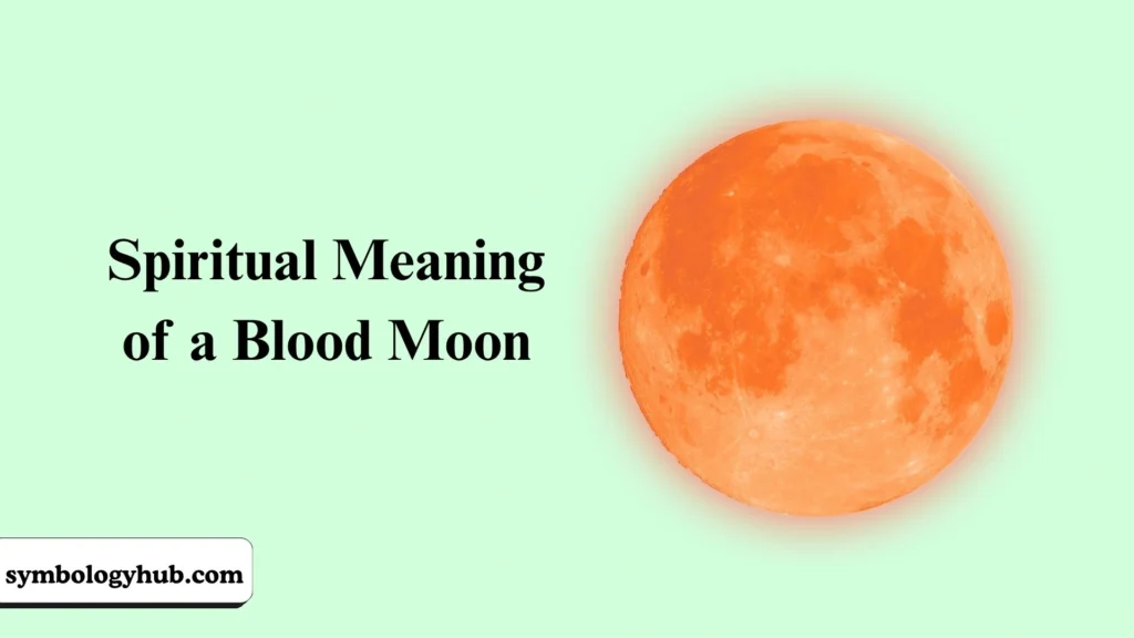 Spiritual Meaning of a Blood Moon