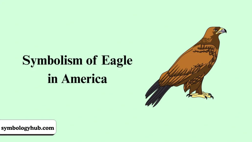 Symbolism of Eagle in America