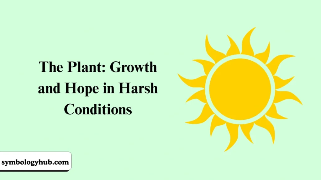 The Plant: Growth and Hope in Harsh Conditions