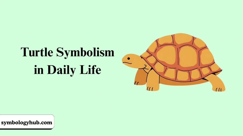 Turtle Symbolism in Daily Life