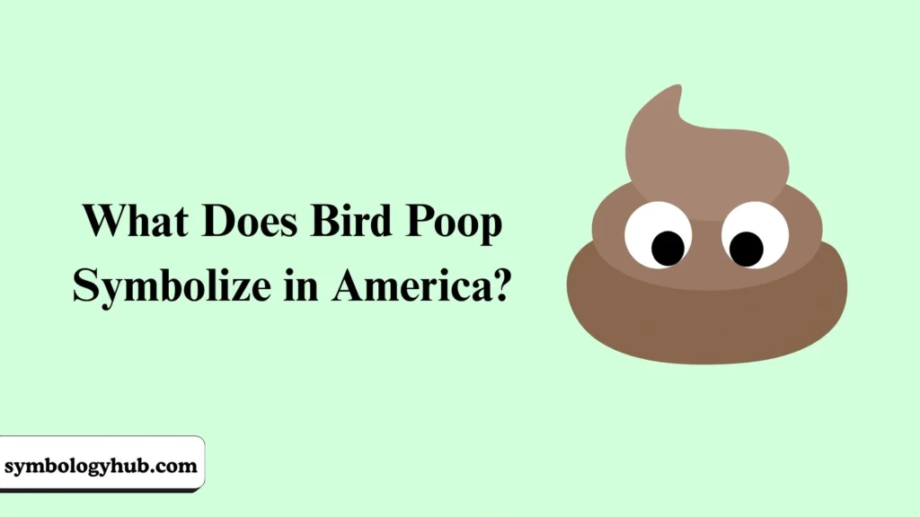What Does Bird Poop Symbolize in America?