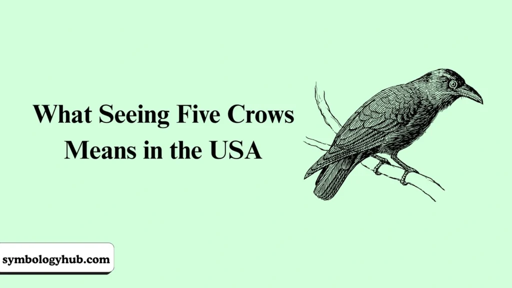 What Seeing Five Crows Means in the USA
