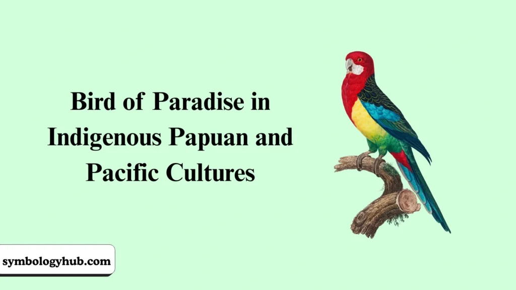 Bird of Paradise in Indigenous Papuan and Pacific Cultures
