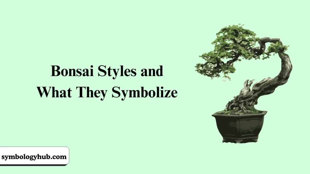 Bonsai Styles and What They Symbolize