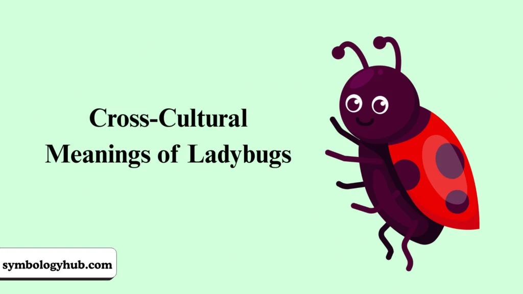 Cross-Cultural Meanings of Ladybugs