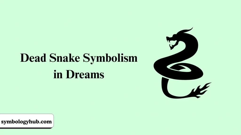 Dead Snake Symbolism in Dreams