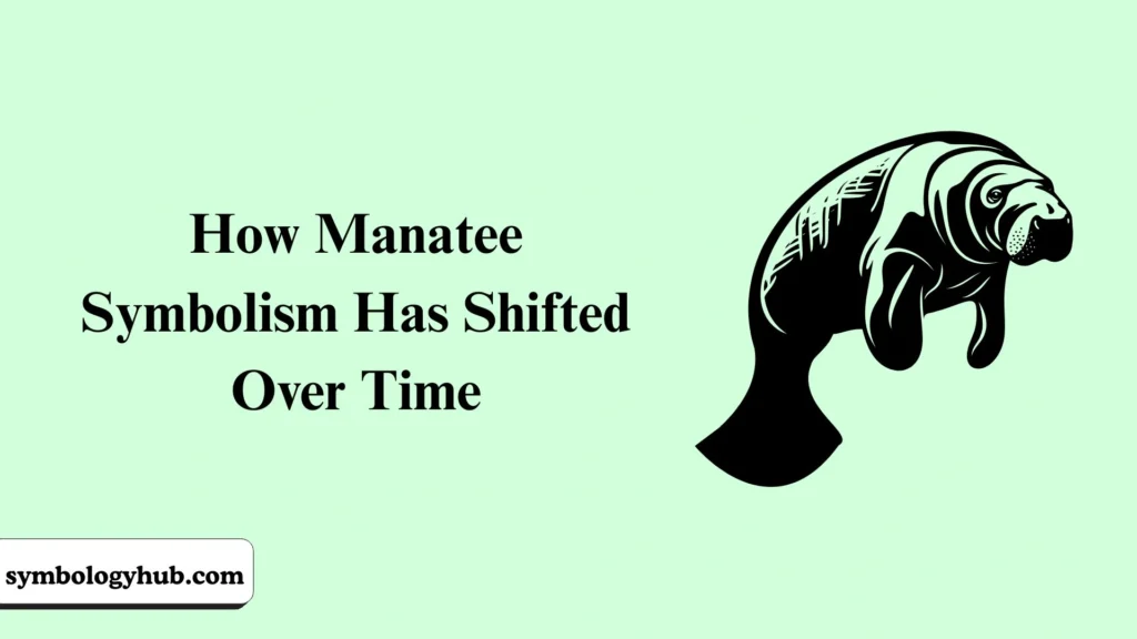 How Manatee Symbolism Has Shifted Over Time