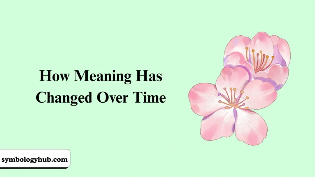 How Meaning Has Changed Over Time