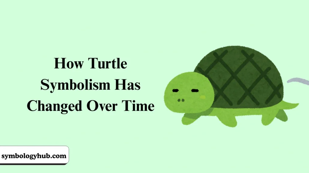 How Turtle Symbolism Has Changed Over Time