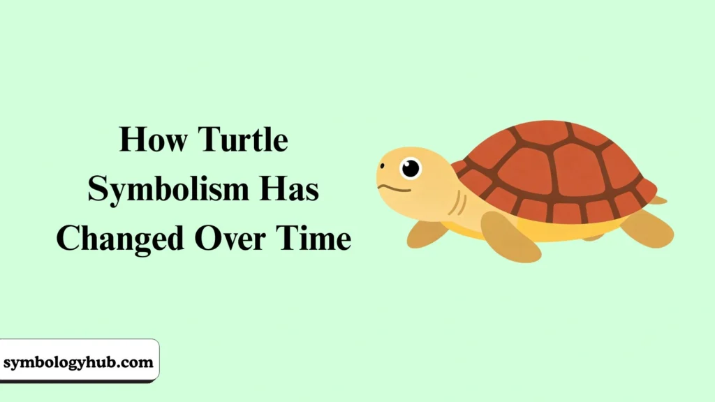 How Turtle Symbolism Has Changed Over Time
