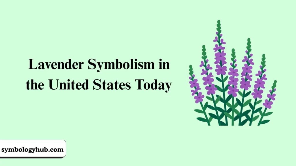 Lavender Symbolism in the United States Today