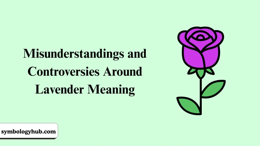 Misunderstandings and Controversies Around Lavender Meaning