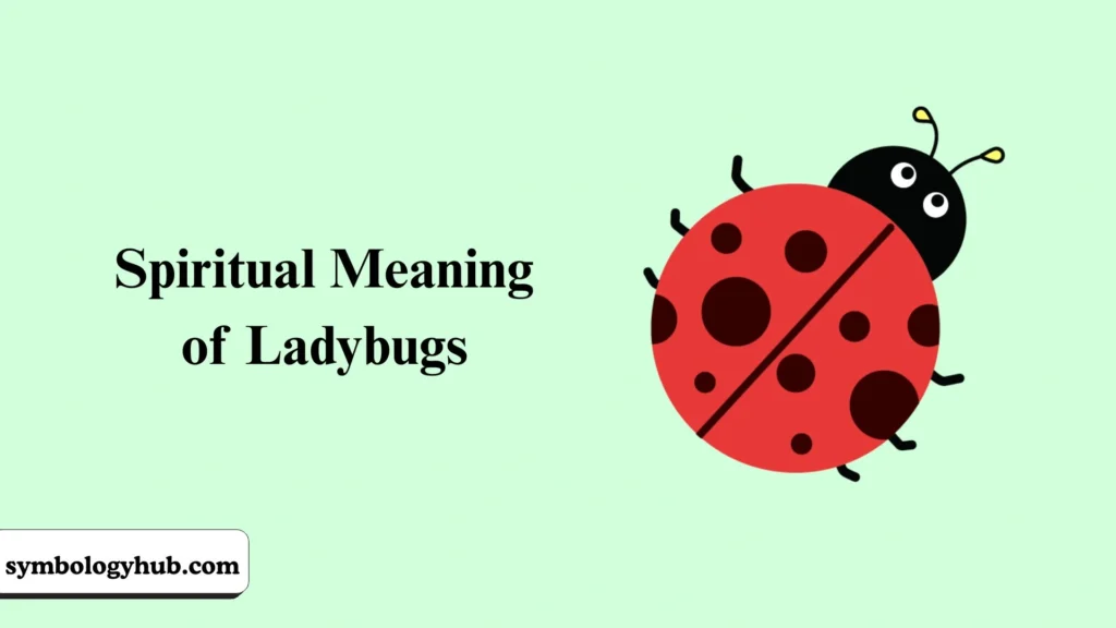 Spiritual Meaning of Ladybugs