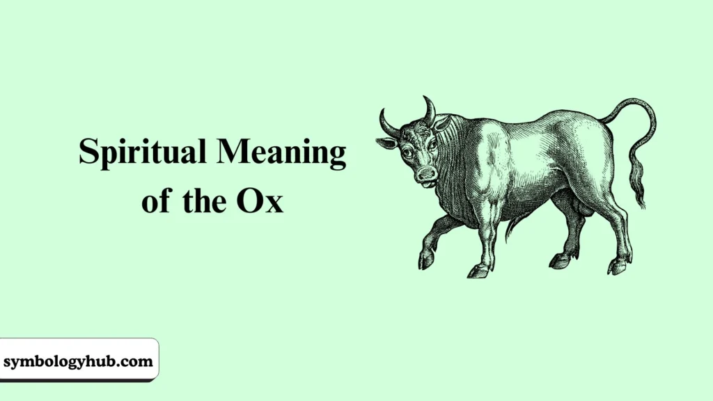 Spiritual Meaning of the Ox