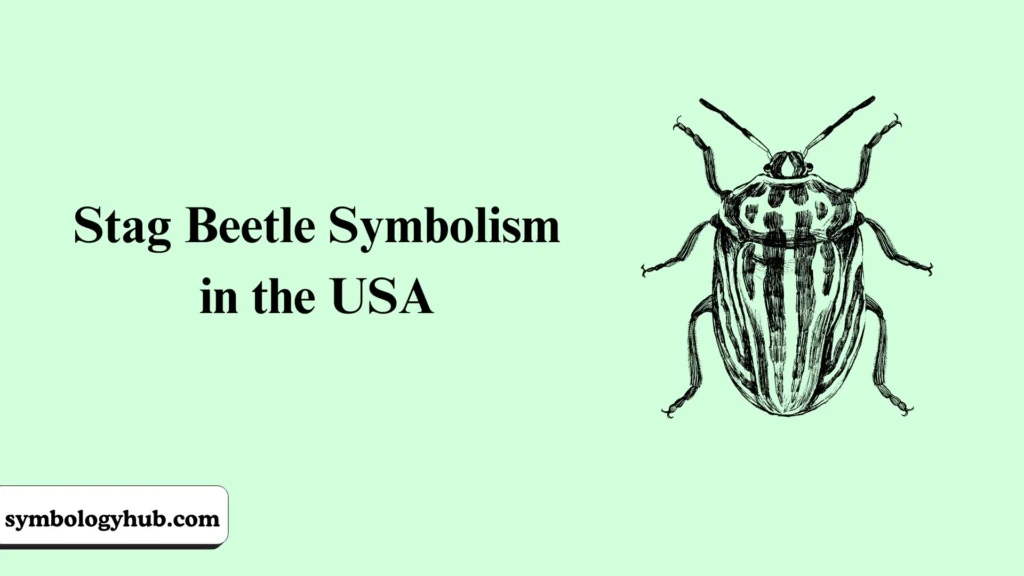 Stag Beetle Symbolism in the USA