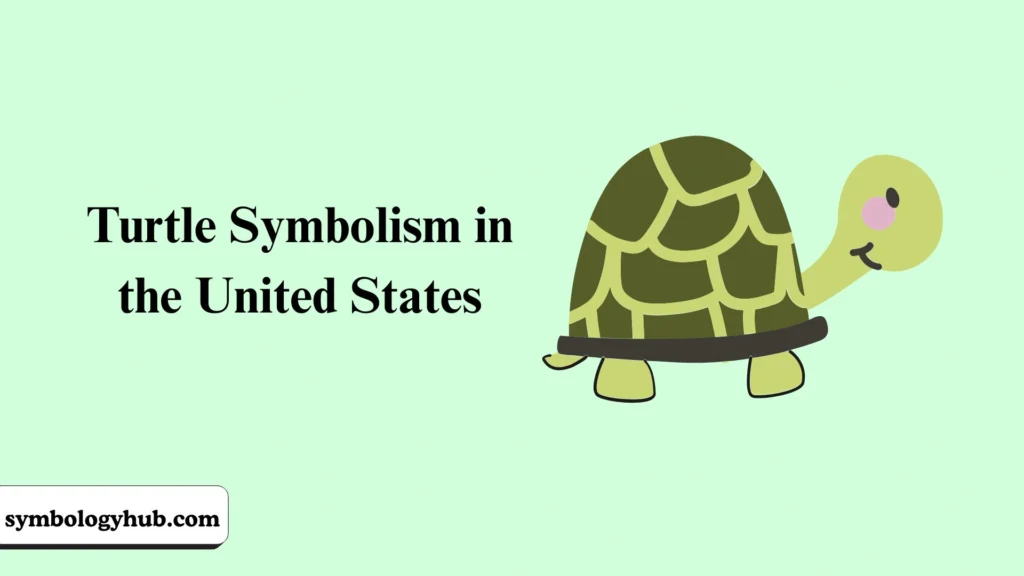 Turtle Symbolism in the United States