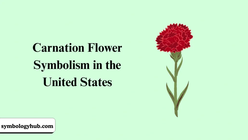 Carnation Flower Symbolism in the United States