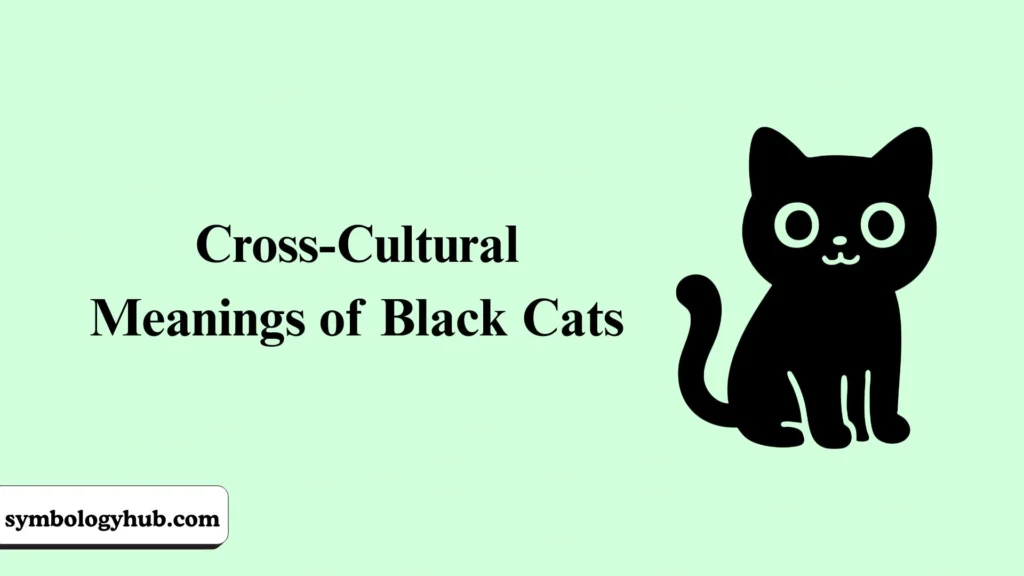Cross-Cultural Meanings of Black Cats