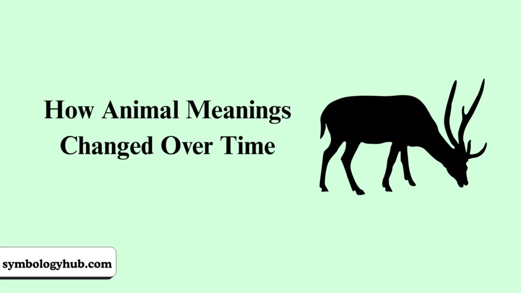 How Animal Meanings Changed Over Time