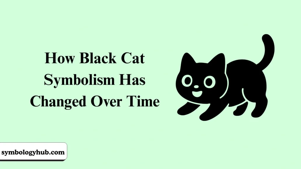 How Black Cat Symbolism Has Changed Over Time