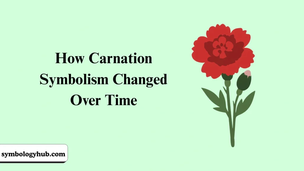 How Carnation Symbolism Changed Over Time