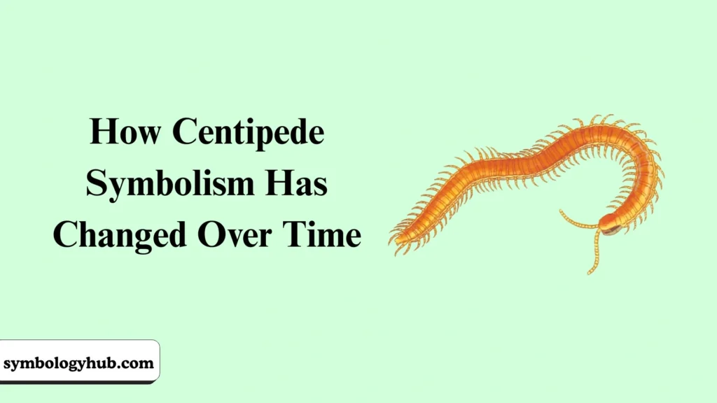 How Centipede Symbolism Has Changed Over Time
