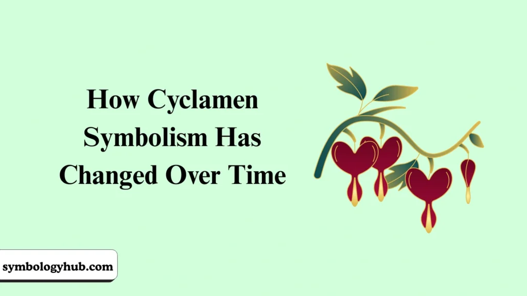 How Cyclamen Symbolism Has Changed Over Time