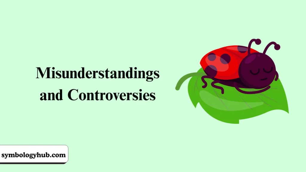 Misunderstandings and Controversies