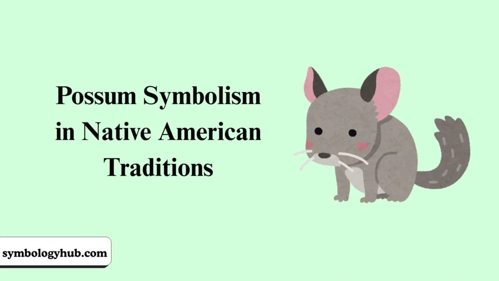 Possum Symbolism in Native American Traditions