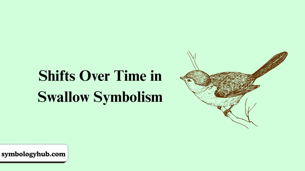 Shifts Over Time in Swallow Symbolism