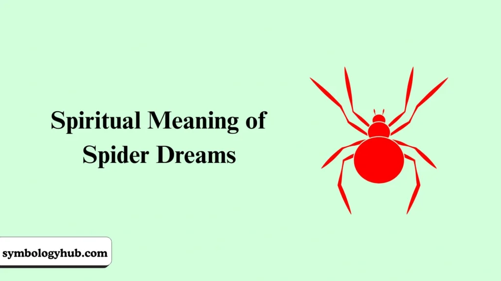 Spiritual Meaning of Spider Dreams