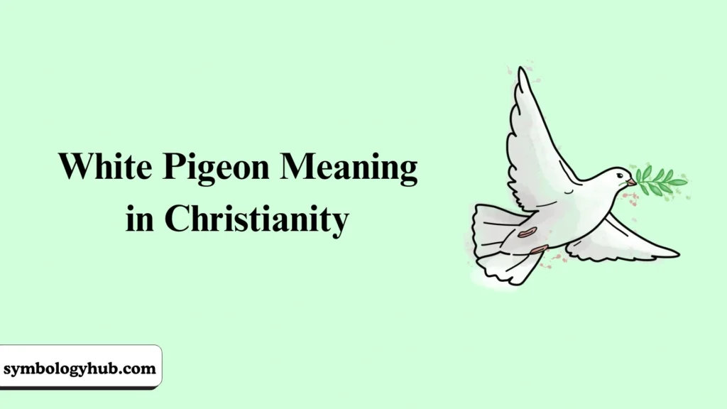 White Pigeon Meaning in Christianity