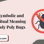 15 Symbolic and Spiritual Meaning of Roly Poly Bugs