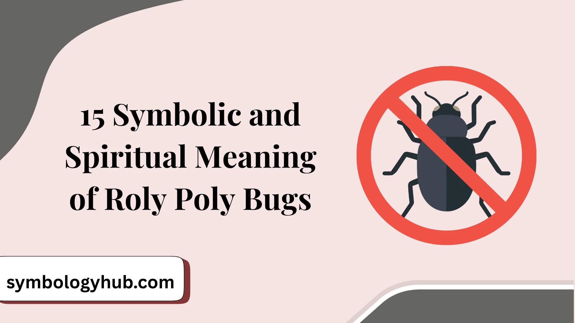 15 Symbolic and Spiritual Meaning of Roly Poly Bugs