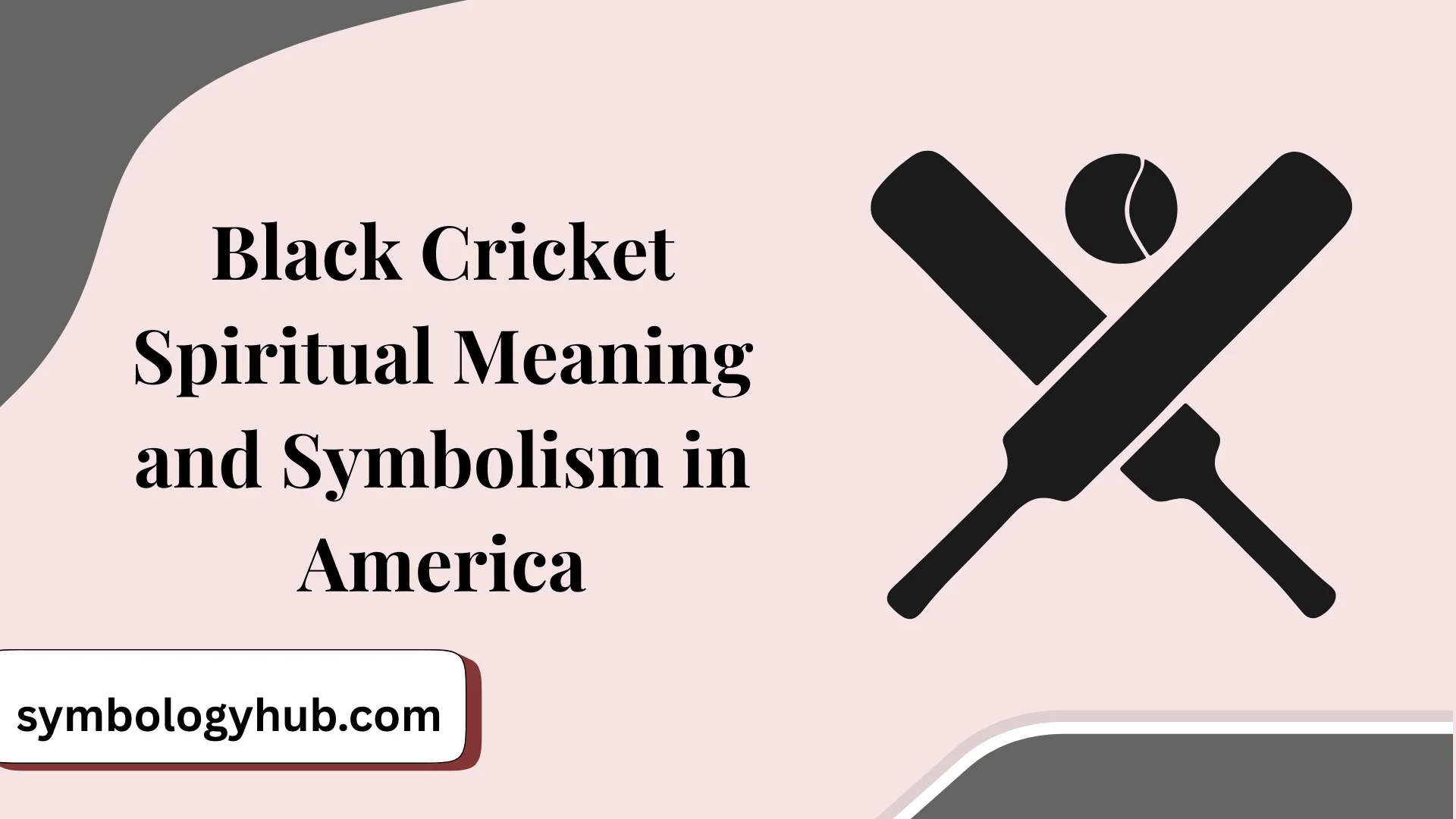 Black Cricket Spiritual Meaning and Symbolism in America