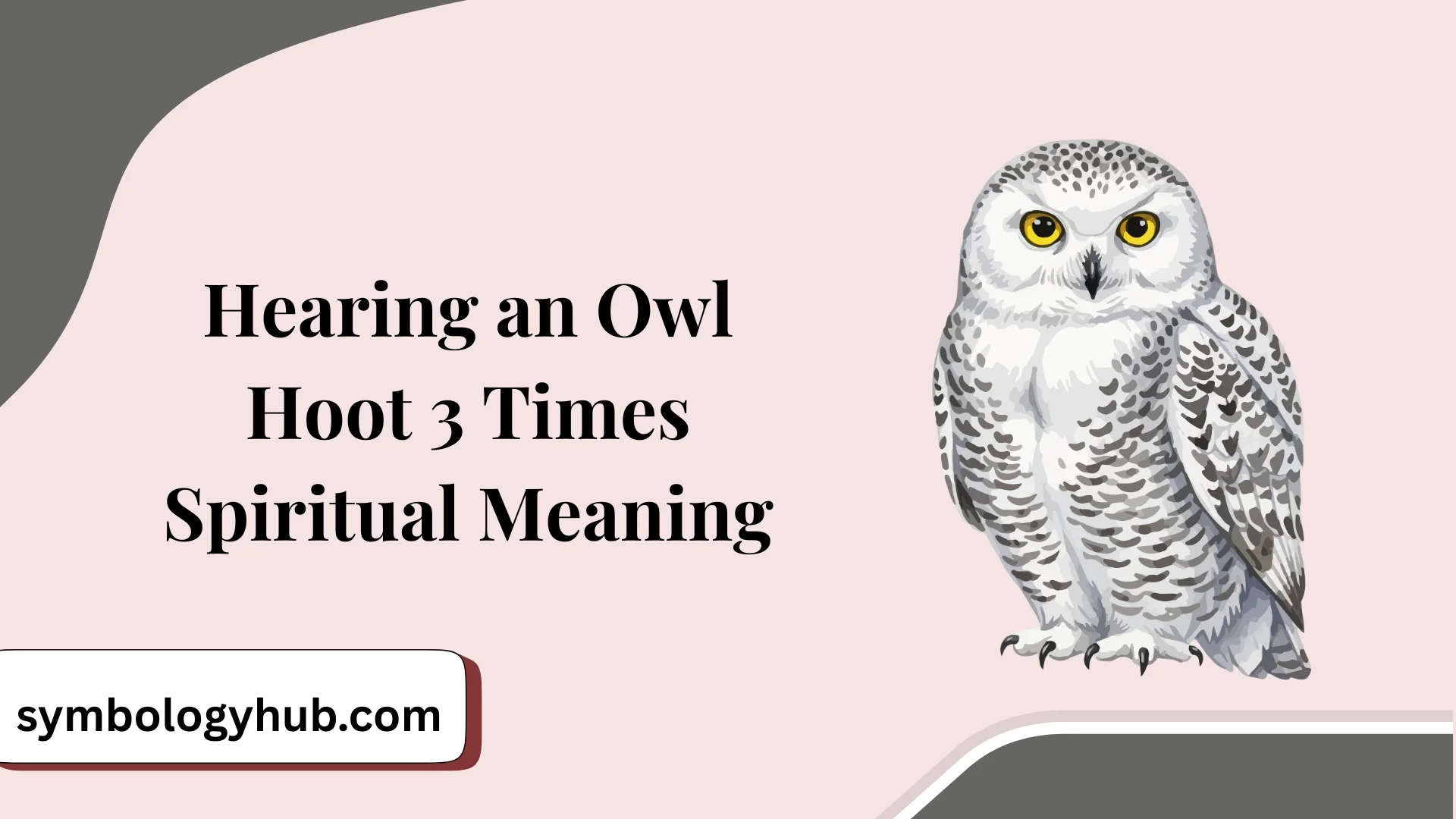 Hearing an Owl Hoot 3 Times Spiritual Meaning