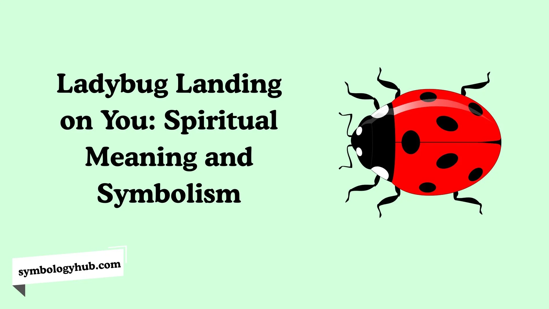 Ladybug Landing on You: Spiritual Meaning and Symbolism