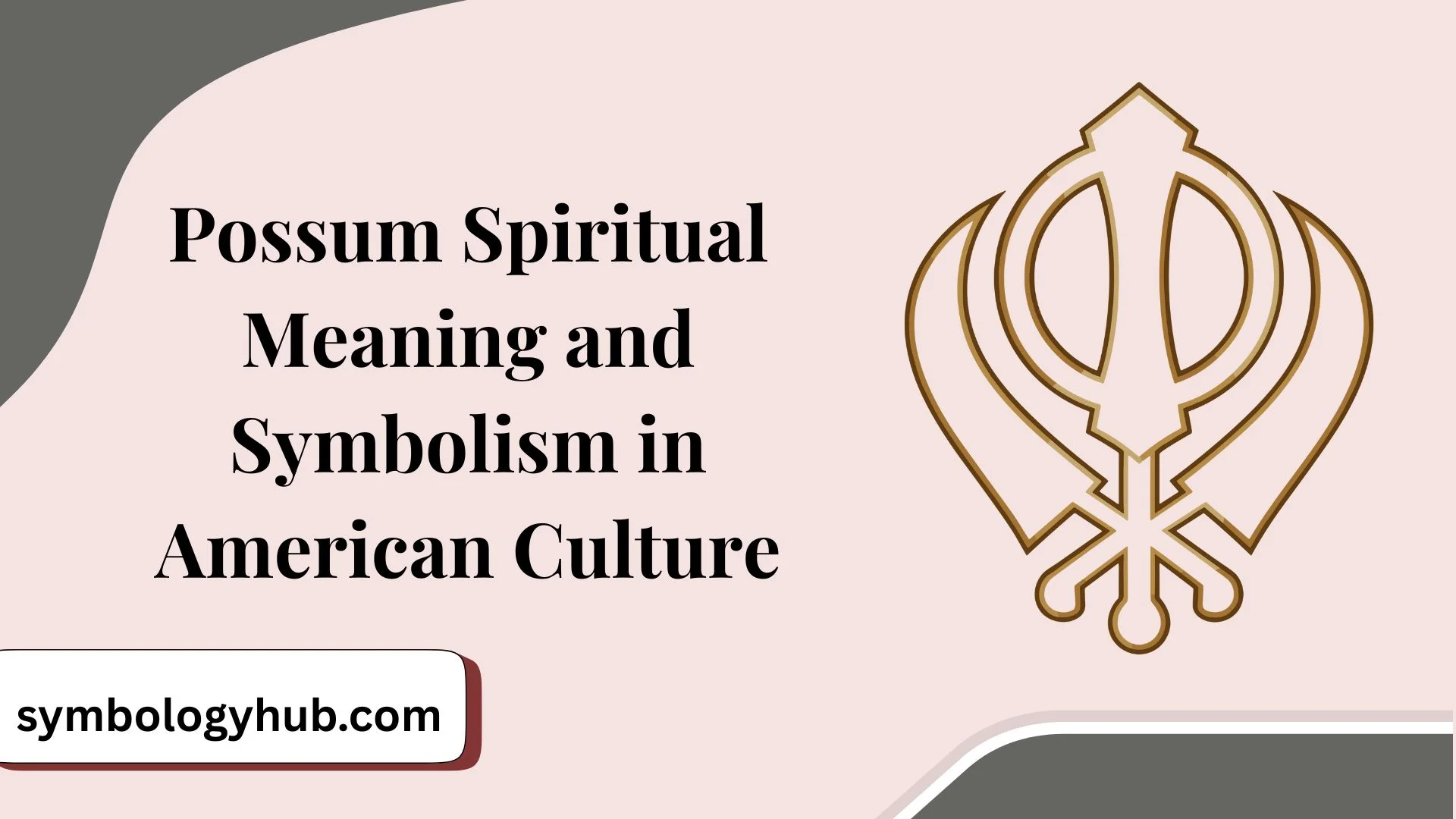 Possum Spiritual Meaning and Symbolism in American Culture