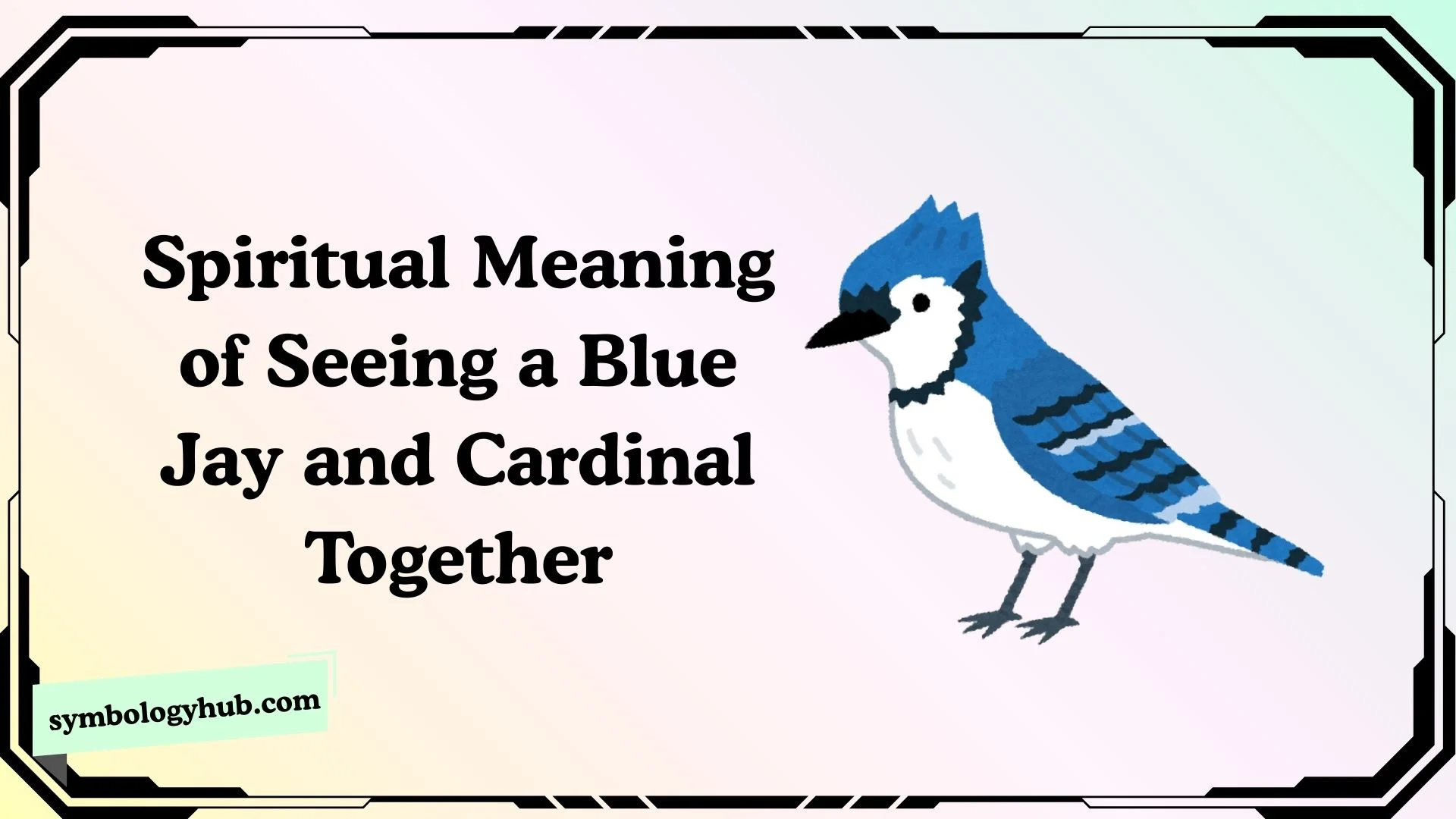 Spiritual Meaning of Seeing a Blue Jay and Cardinal Together