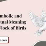 Symbolic and Spiritual Meaning of a Flock of Birds