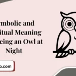 Symbolic and Spiritual Meaning of Seeing an Owl at Night