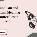 Symbolism and Spiritual Meaning of Butterflies