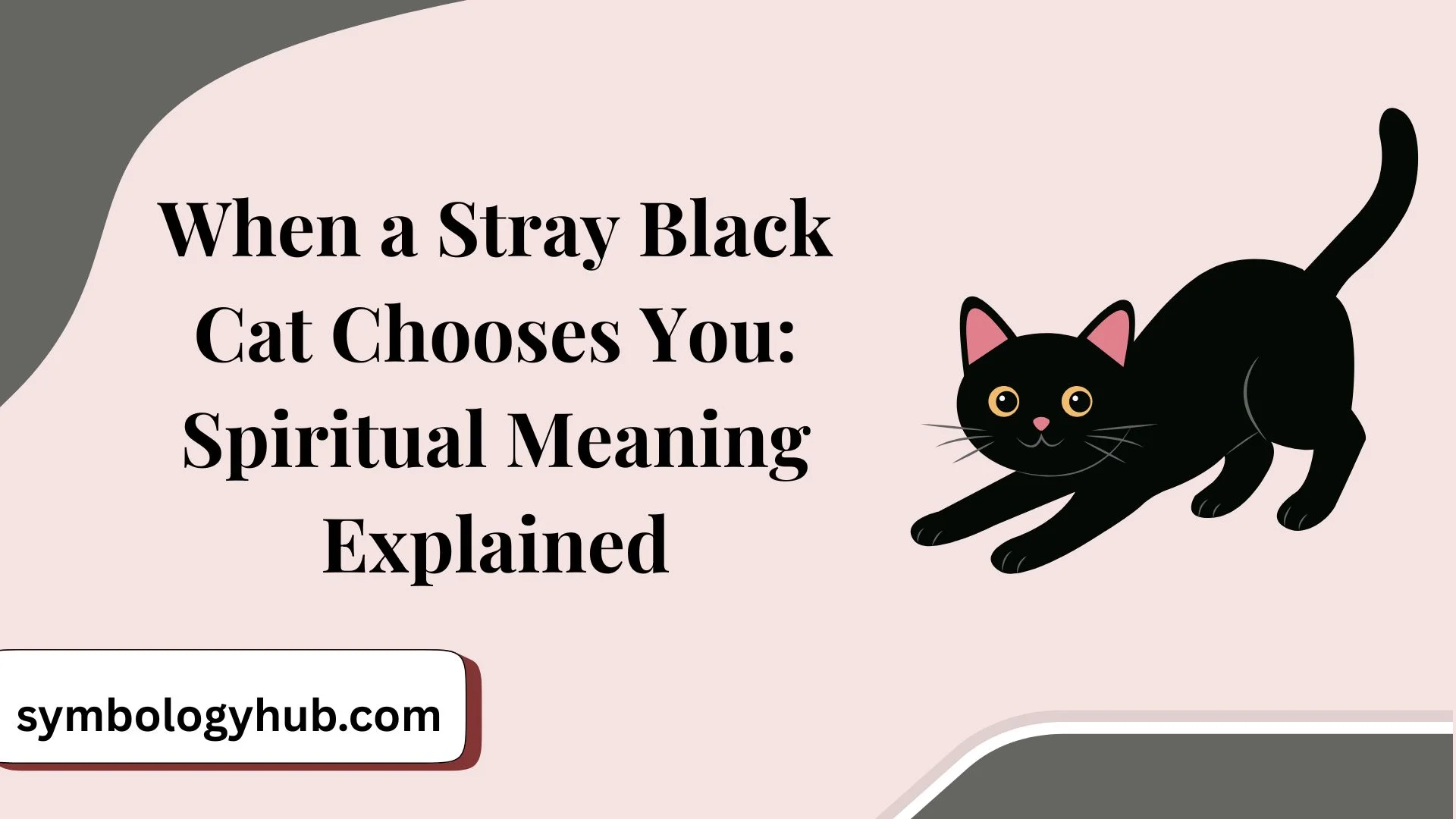 When a Stray Black Cat Chooses You: Spiritual Meaning Explained