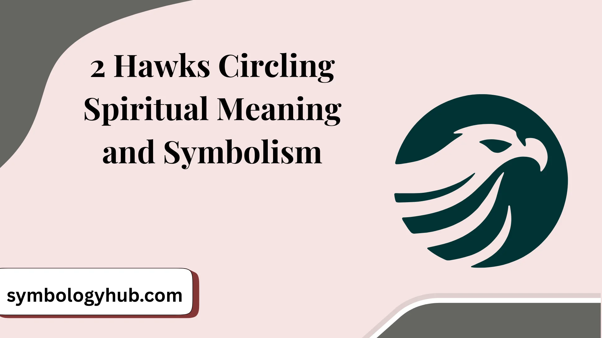 2 Hawks Circling Spiritual Meaning and Symbolism
