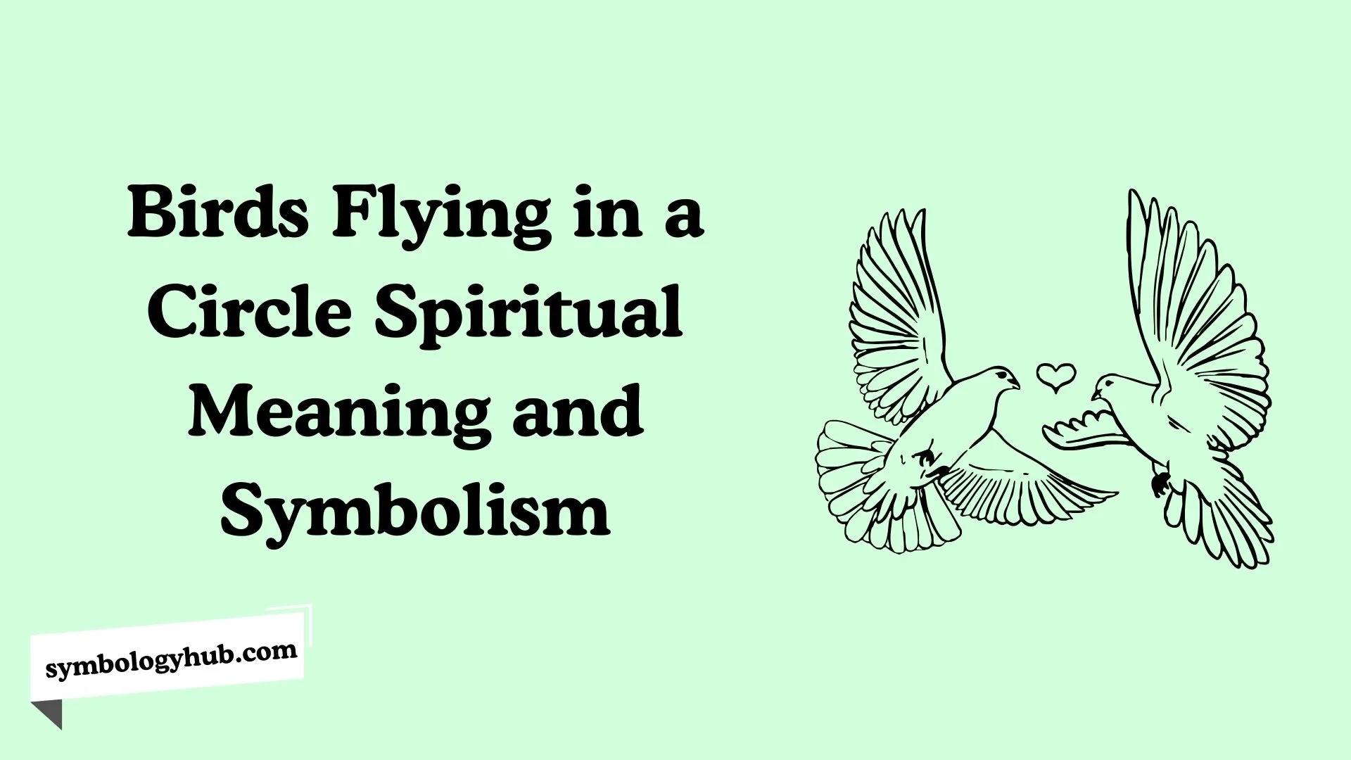 Birds Flying in a Circle Spiritual Meaning and Symbolism