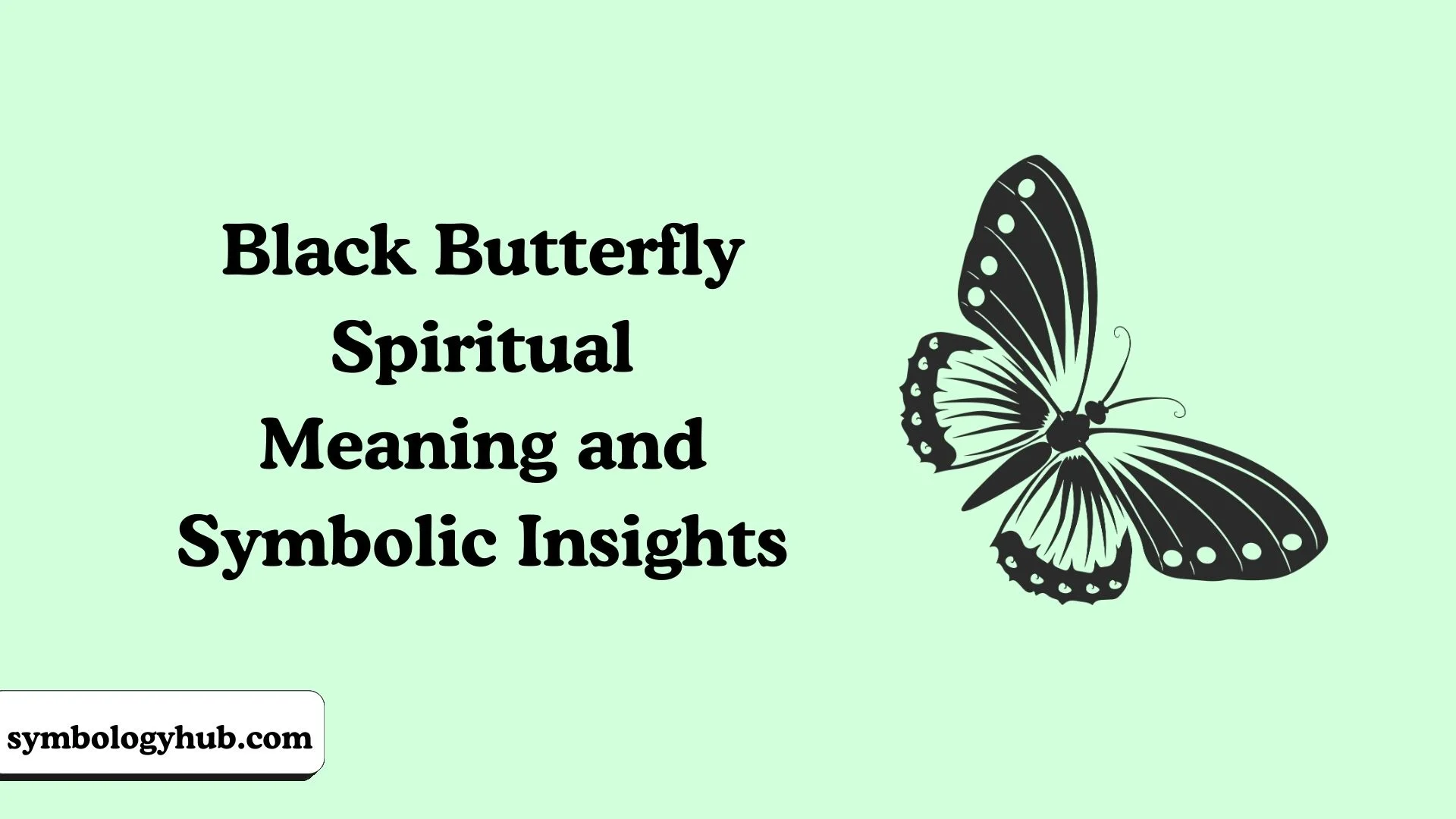 Black Butterfly Spiritual Meaning and Symbolic Insights