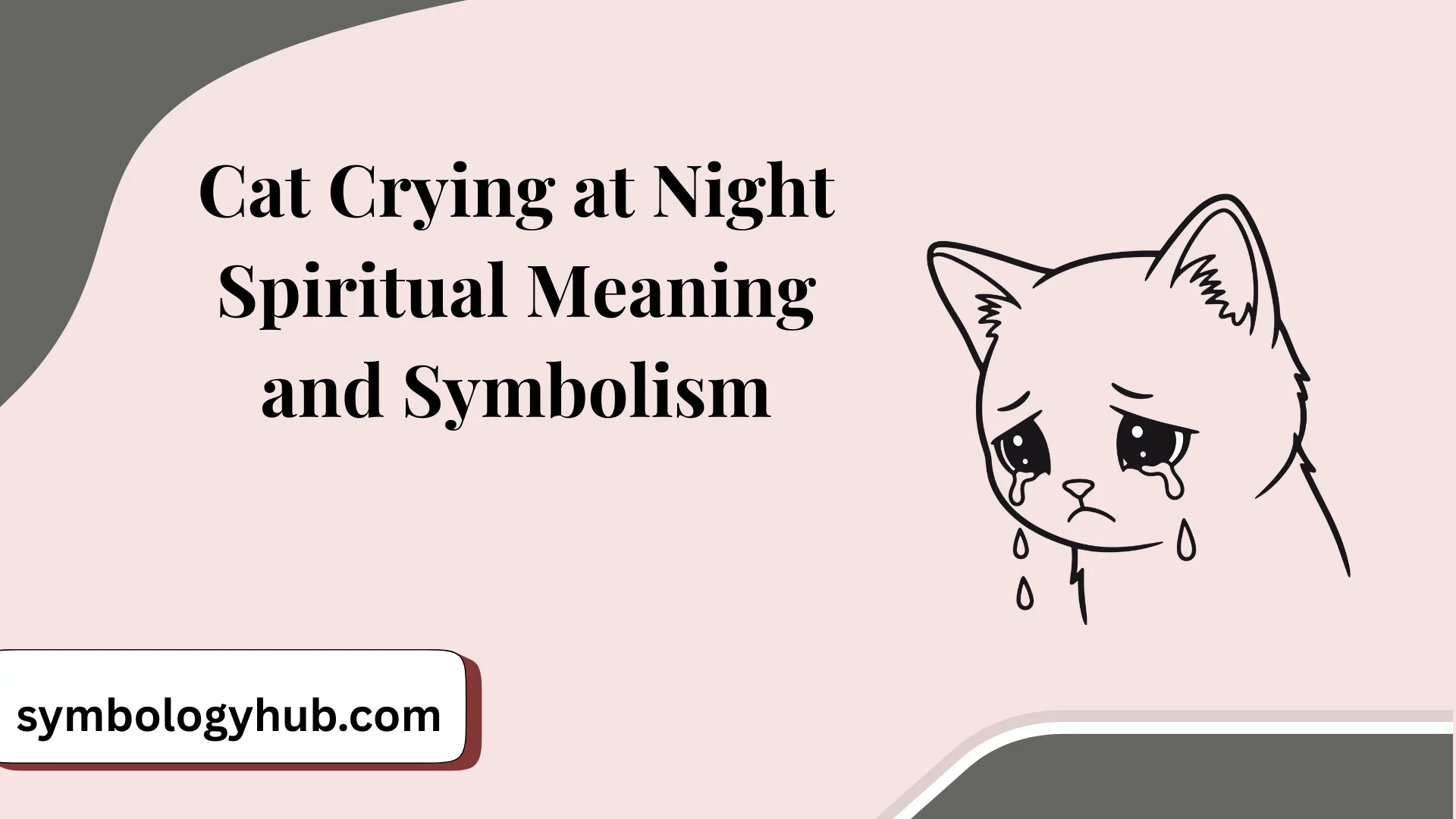 Cat Crying at Night Spiritual Meaning and Symbolism