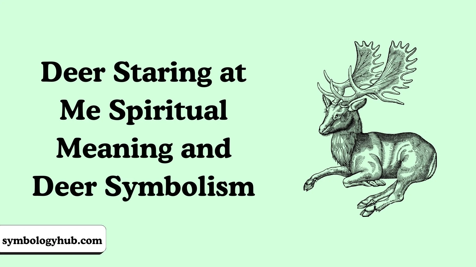Deer Staring at Me Spiritual Meaning and Deer Symbolism