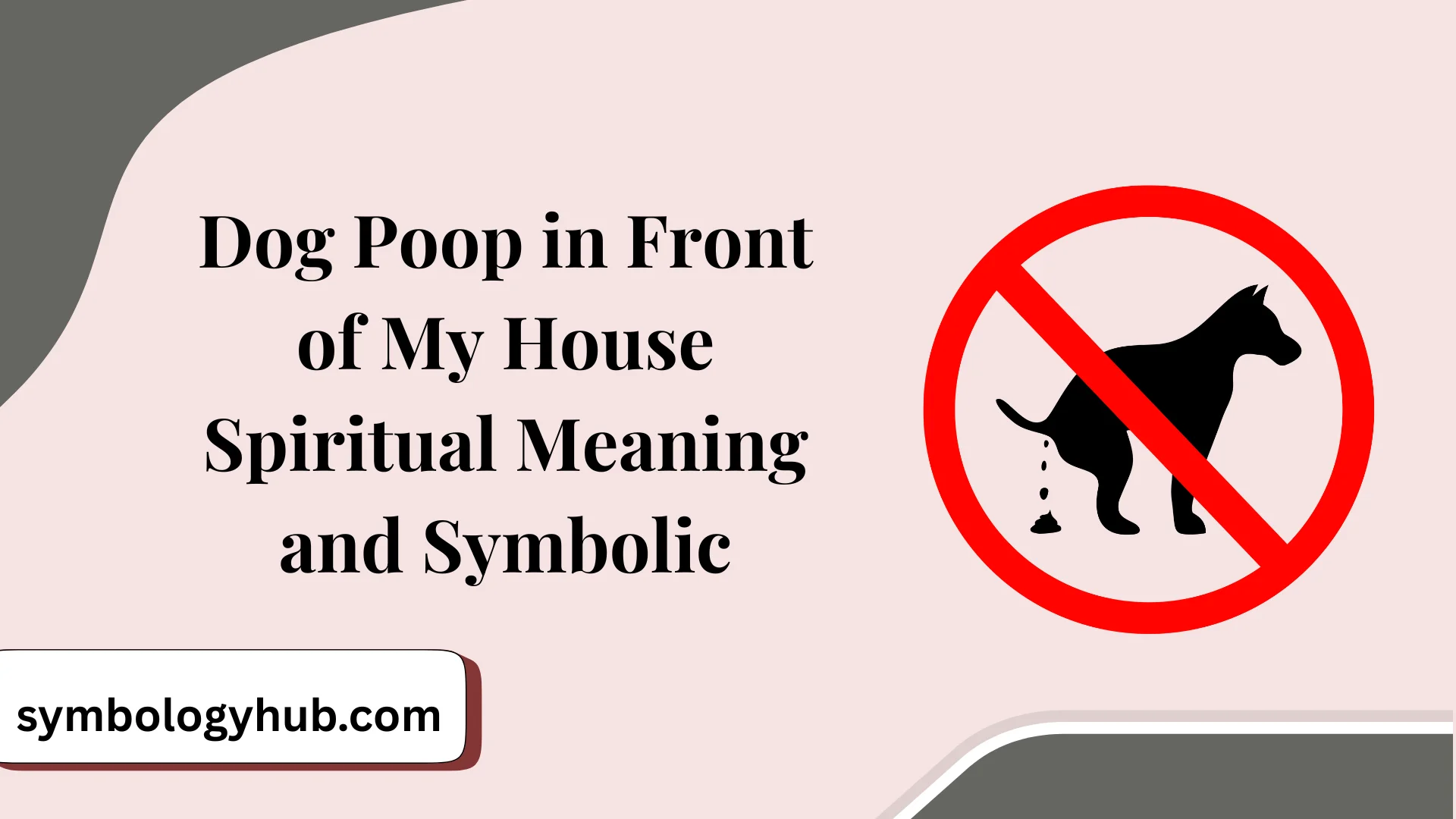 Dog Poop in Front of My House Spiritual Meaning and Symbolic