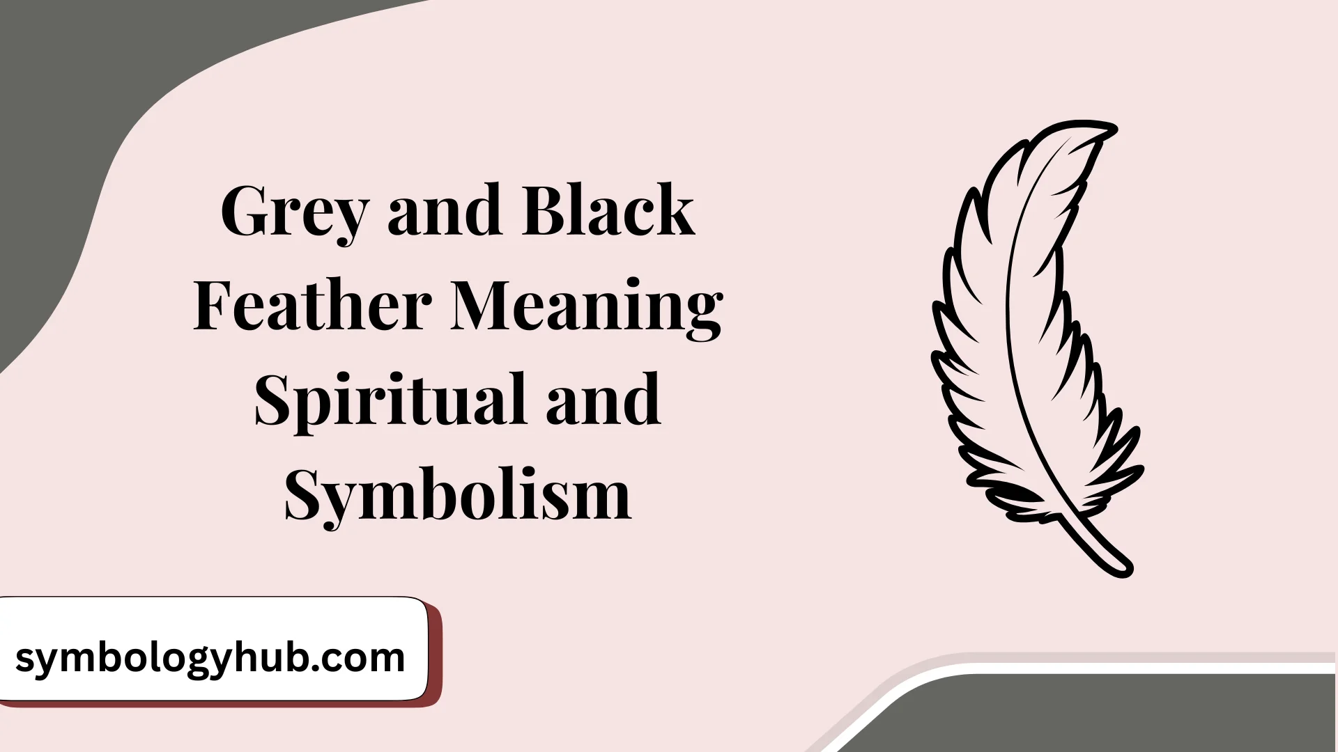 Grey and Black Feather Meaning Spiritual and Symbolism